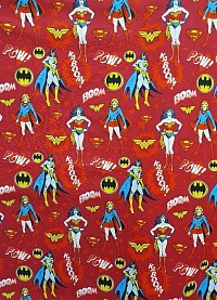 DC Super Women